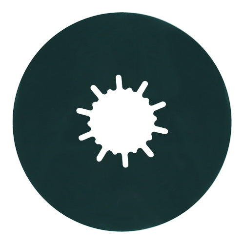 DISQUE LUBRIFIANT 10" RVPRO - Récréashop