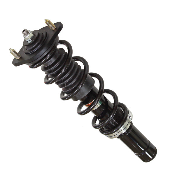 Amortisseur à gaz et ressort Bronco (AU-04347)