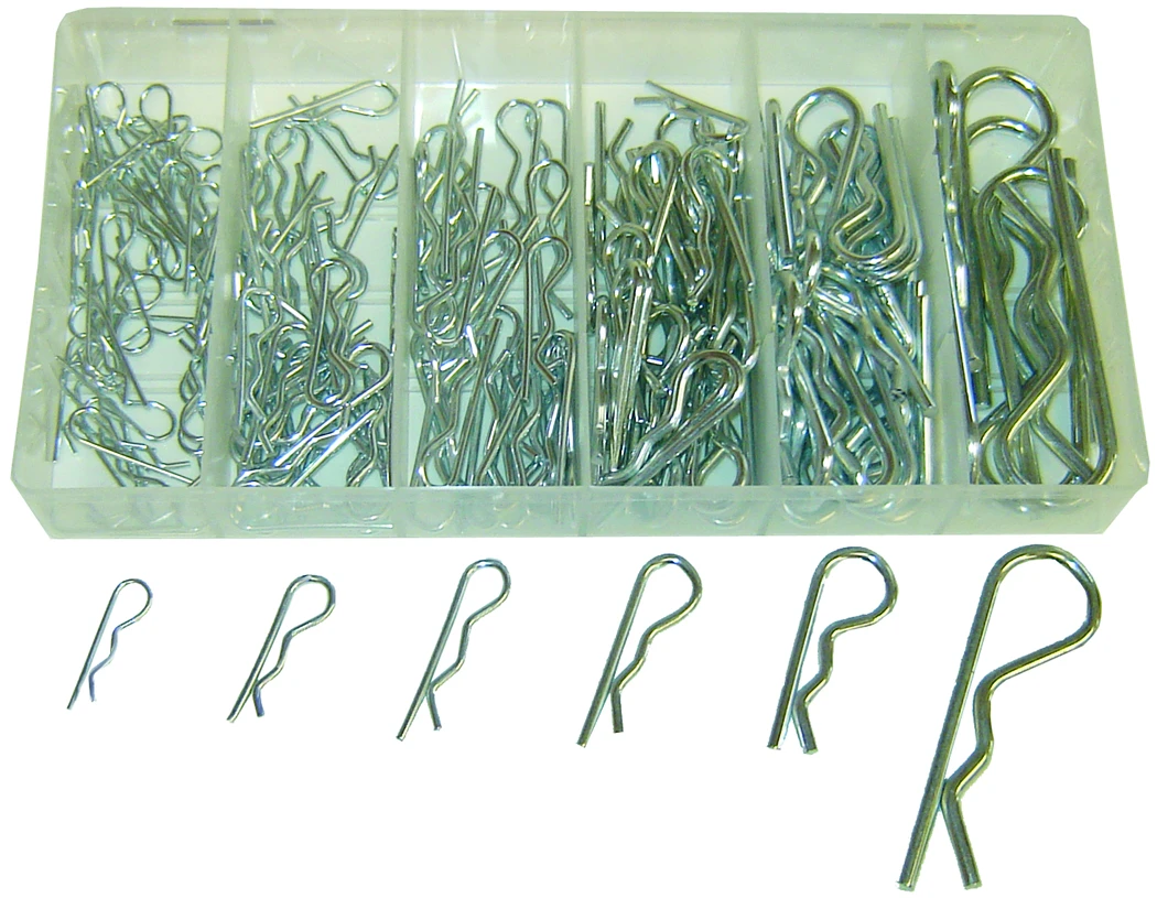 ASSORTMENT OF HAIR PINS 150 - Récréashop