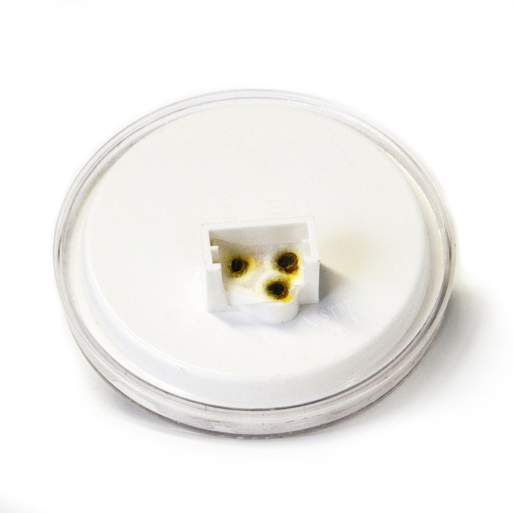 Lumière de recul LED 4 1/2" claire 12 diodes - RecreaShop