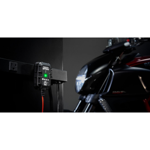 Genius1 Chargeur, mainteneur et désulfateur de batterie 6V/12V 1-Amp - Récréashop