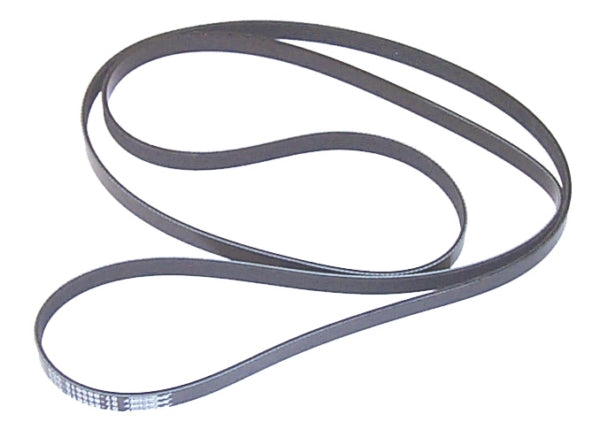 Sierra Courroie de marine, serpentine - RecreaShop