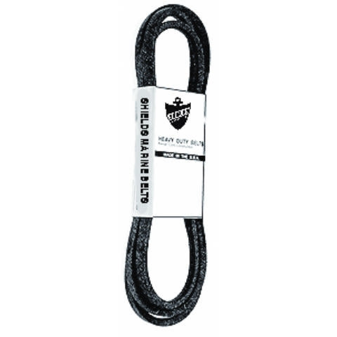 Sierra Courroie de marine, serpentine - RecreaShop