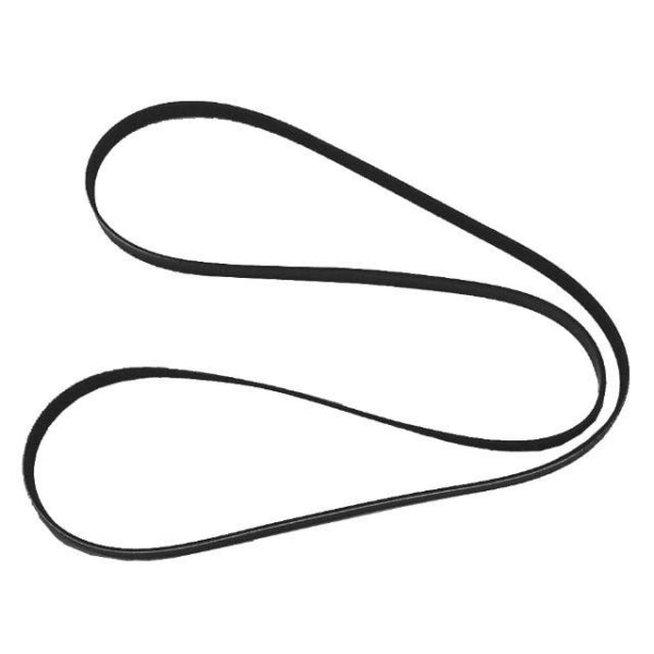 Sierra Courroie de marine, serpentine - RecreaShop
