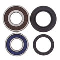 Ensemble de roulements de roue All Balls (25-1203)
