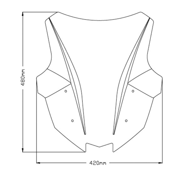 Puig Pare-brise Z-Racing KAWASAKI - Récréashop
