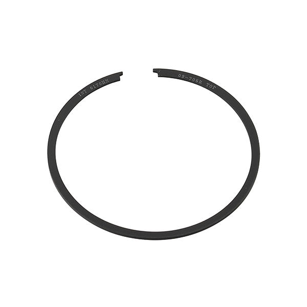 Segments de piston Polaris Fuji standard (09-706R)