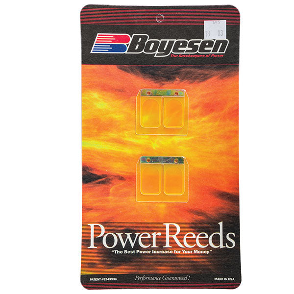 Lamelles Power Reed Boyesen pour moto (645)