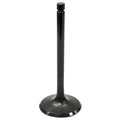 Soupape d'admission VTT/VCC Bronco (AU-09009I)