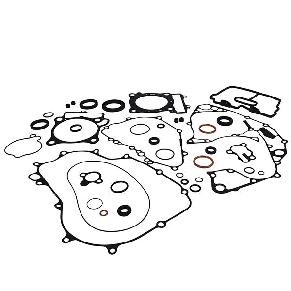 Ensemble de joints et joints d'huile Vertex (8110030)