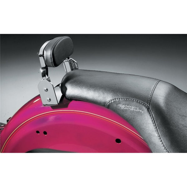 Kuryakyn Support de dossier amovible Plug & Play 837575 - Récréashop