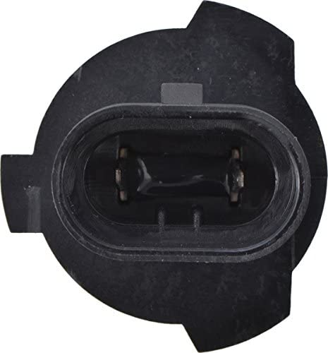 Lumière Halogène Standard 9005XS - Récréashop