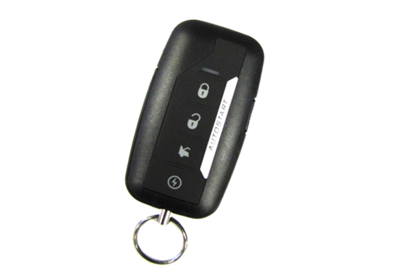 TELE. AUTOSTART 5 BOUTON 1-VOIE DS4, ASDSP154, ASRFD1554 - Récréashop