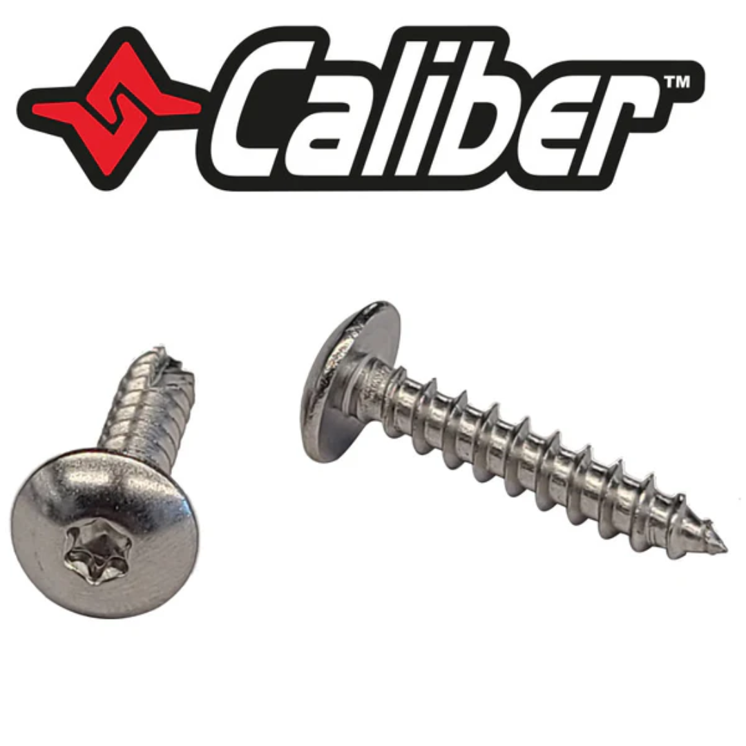 ENSEMBLE DE VIS STAINLESS, PAQUET 30 - Récréashop