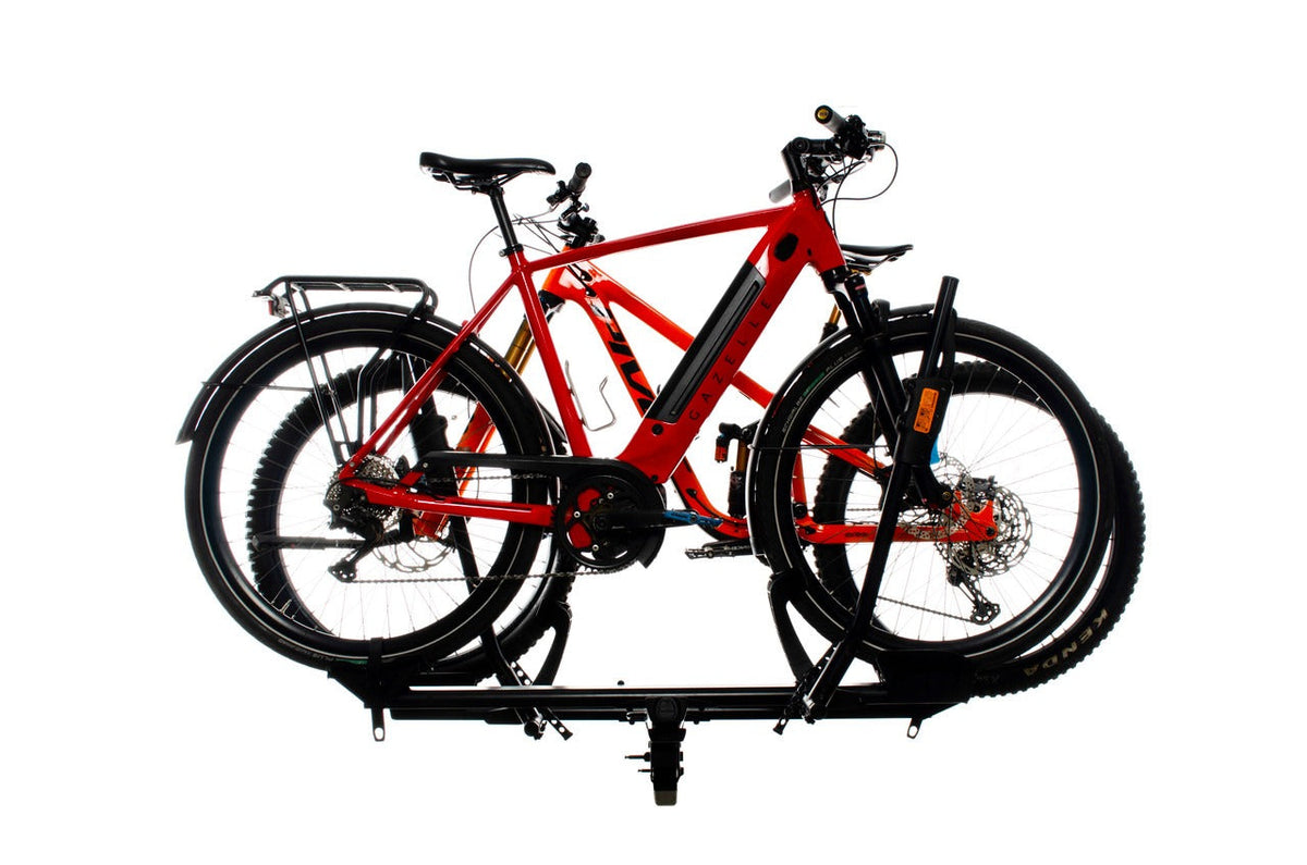 RockyMounts (10282)