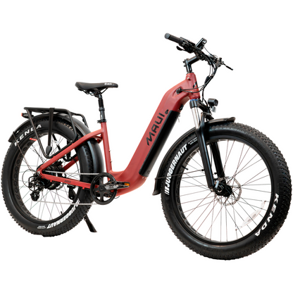 Vélo électrique de ville à enjambement bas FAT BRONTE 2024